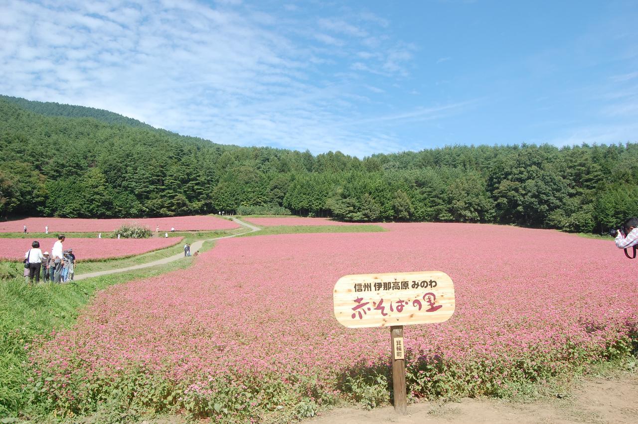 فندق Onyado Tsutaya كيسو المظهر الخارجي الصورة